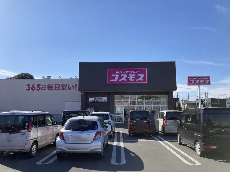 ドラッグコスモス西大宮店