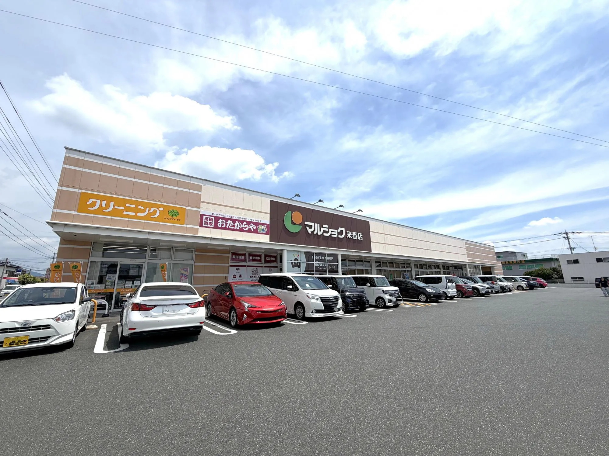 マルショク来春店
