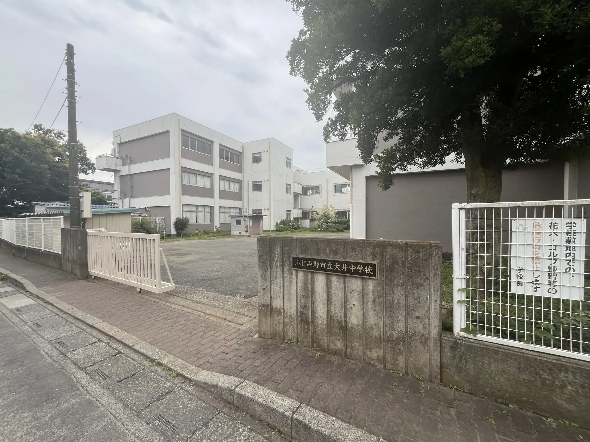 大井中学校