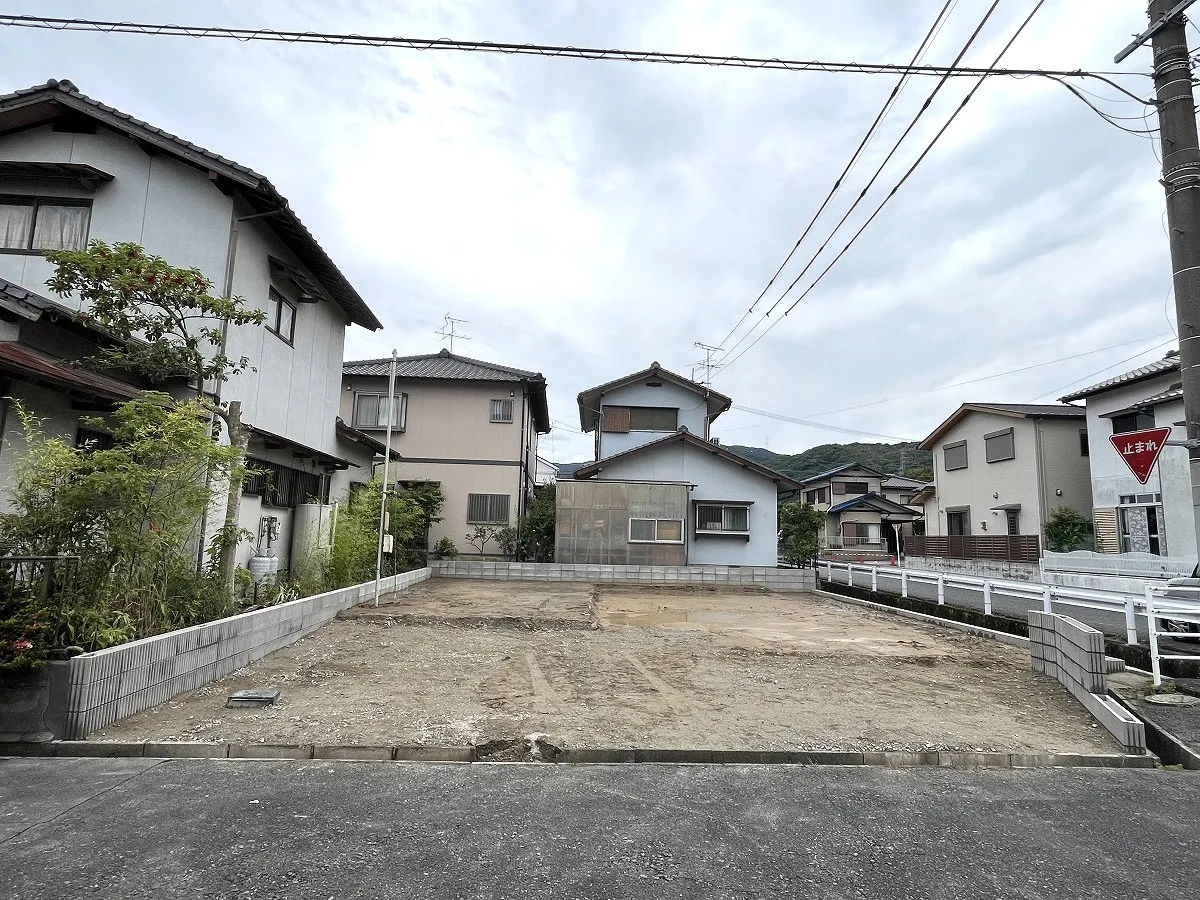6月8日撮影