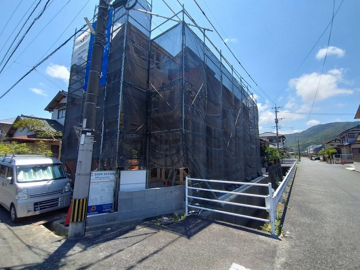 7月11日撮影