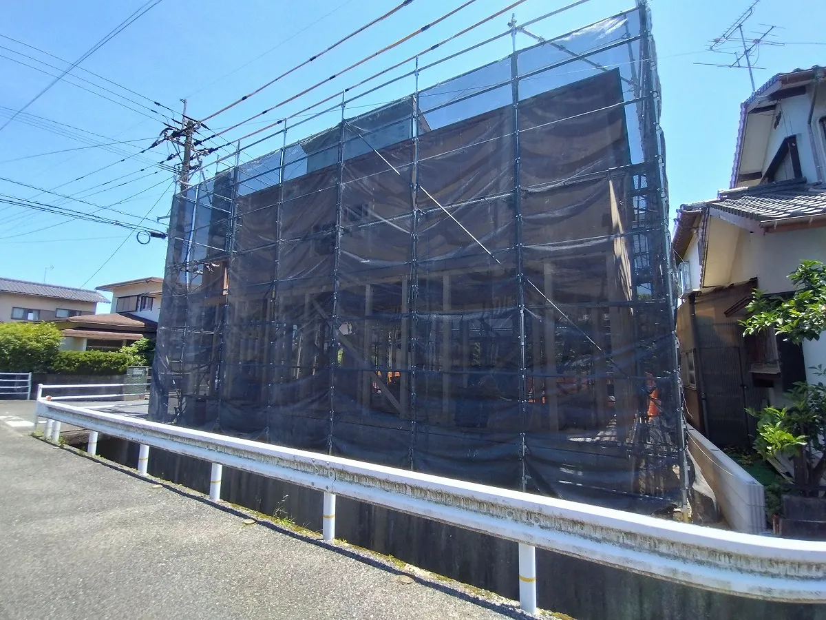 7月11日撮影