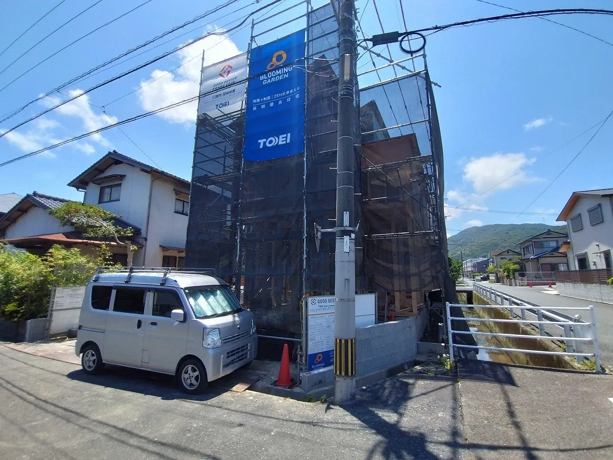 7月11日撮影