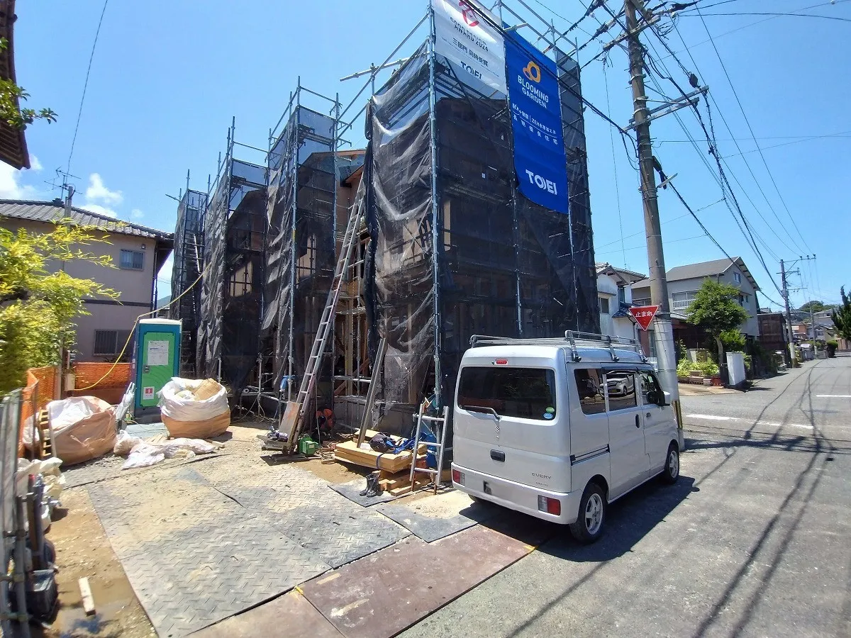 7月11日撮影