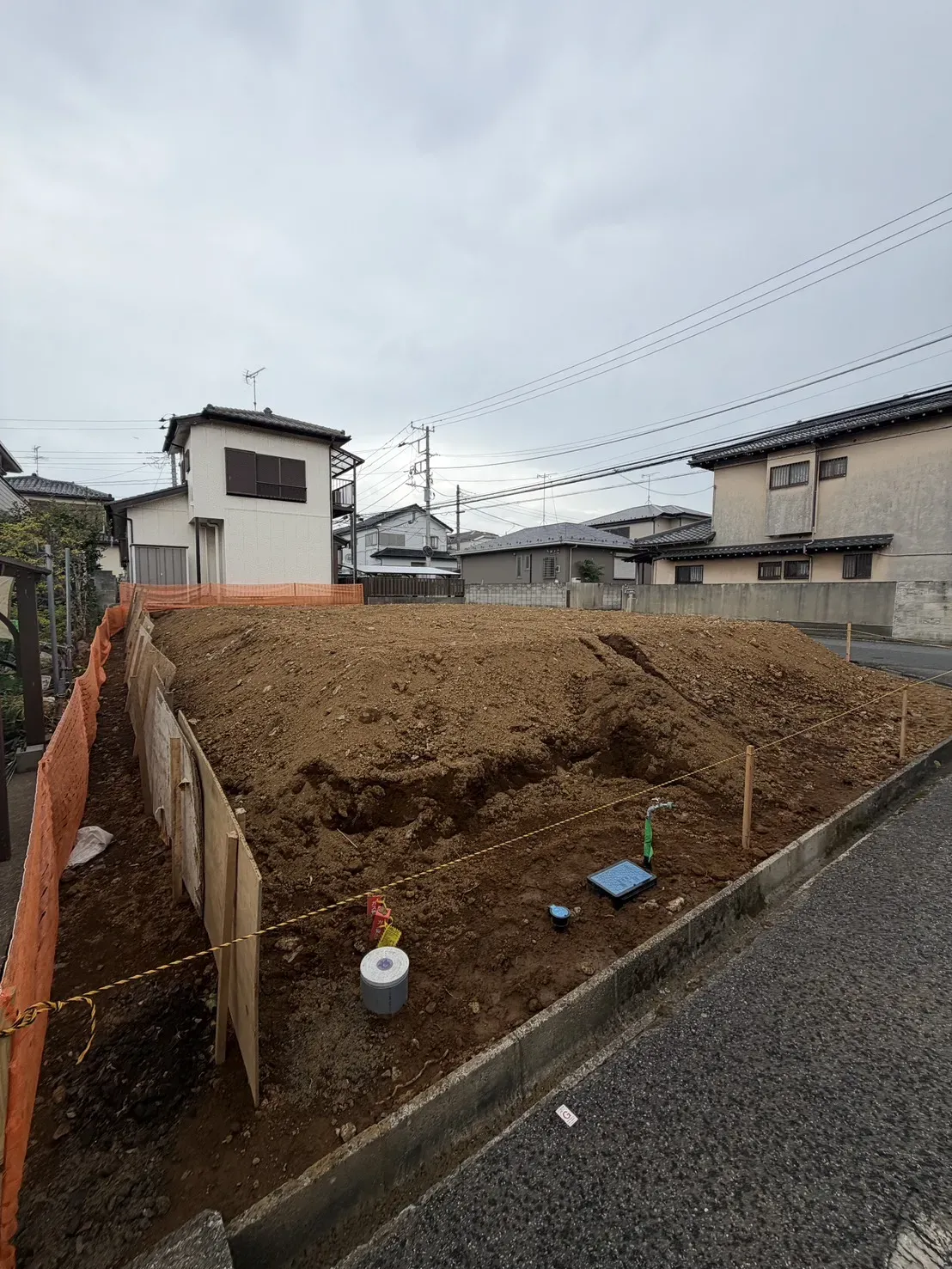 7月下旬撮影