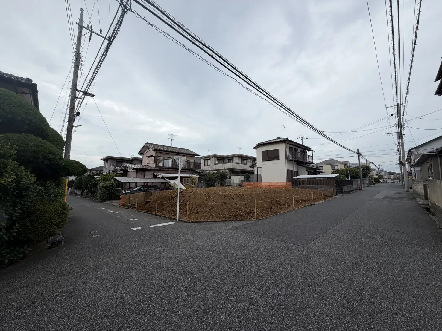 7月下旬撮影