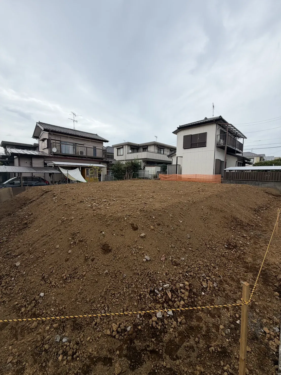7月下旬撮影