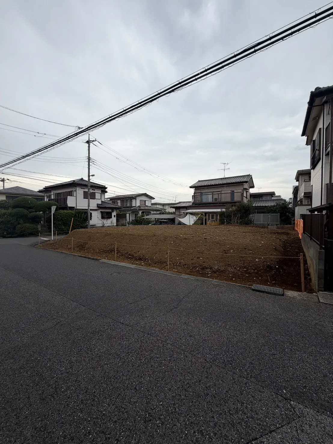7月下旬撮影