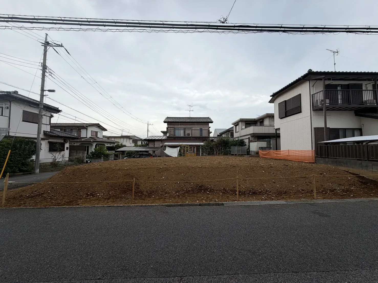 7月下旬撮影