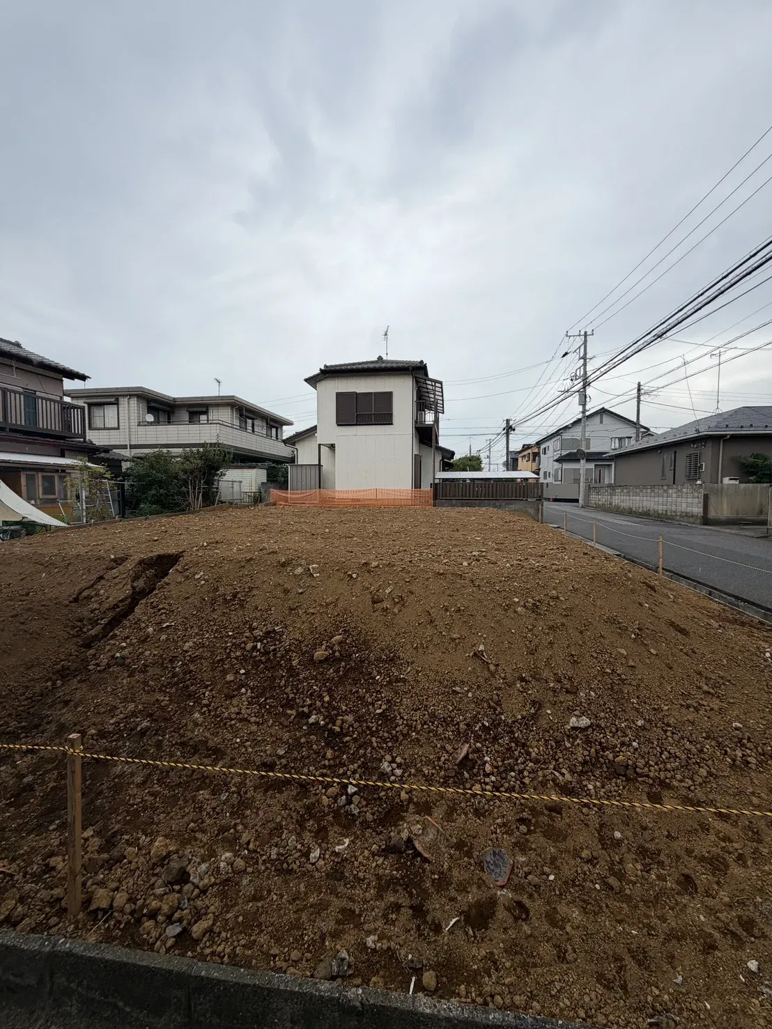 7月下旬撮影