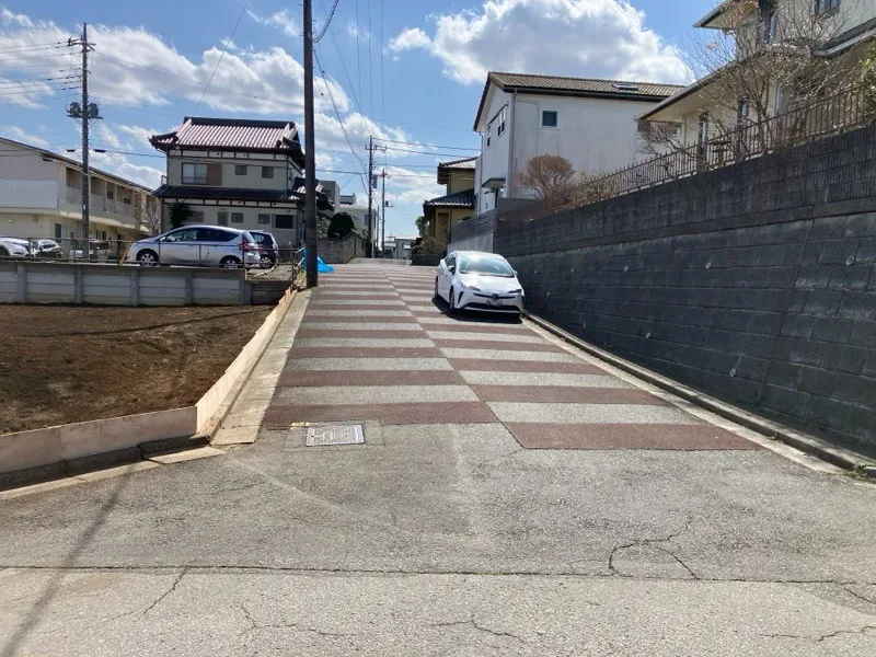 3月上旬撮影