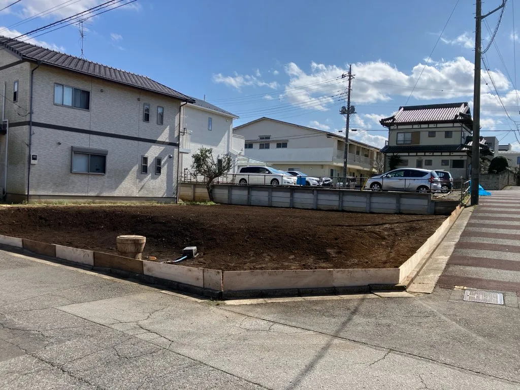 3月上旬撮影