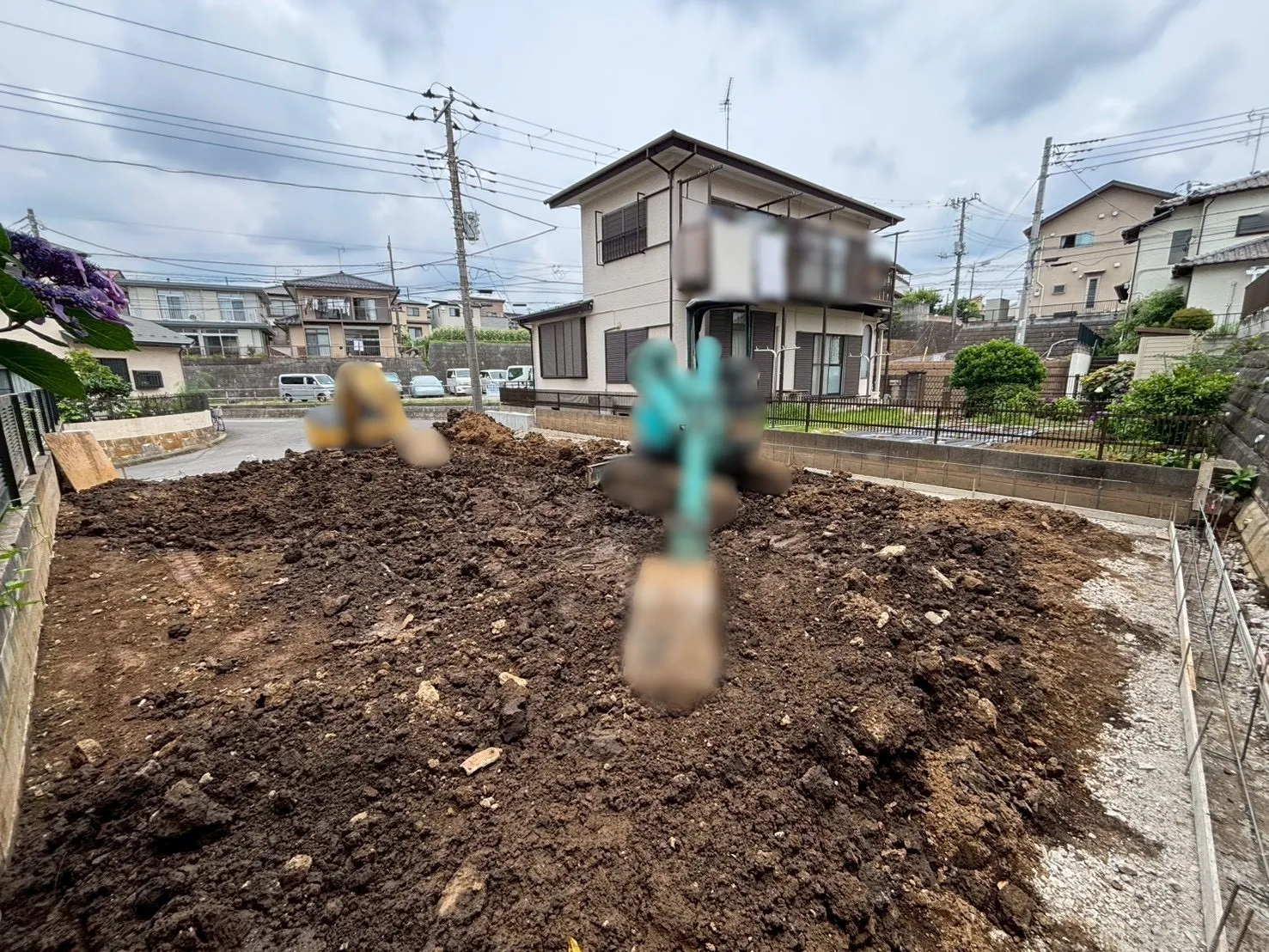2026年6月14日撮影