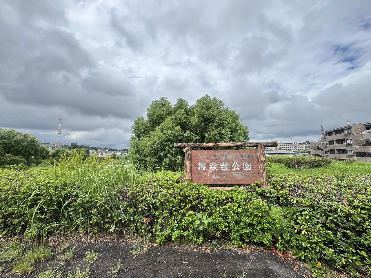 梅森台公園