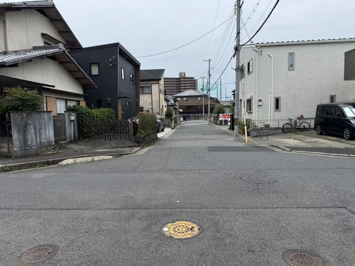 【販売現地】2026.7.4撮影
