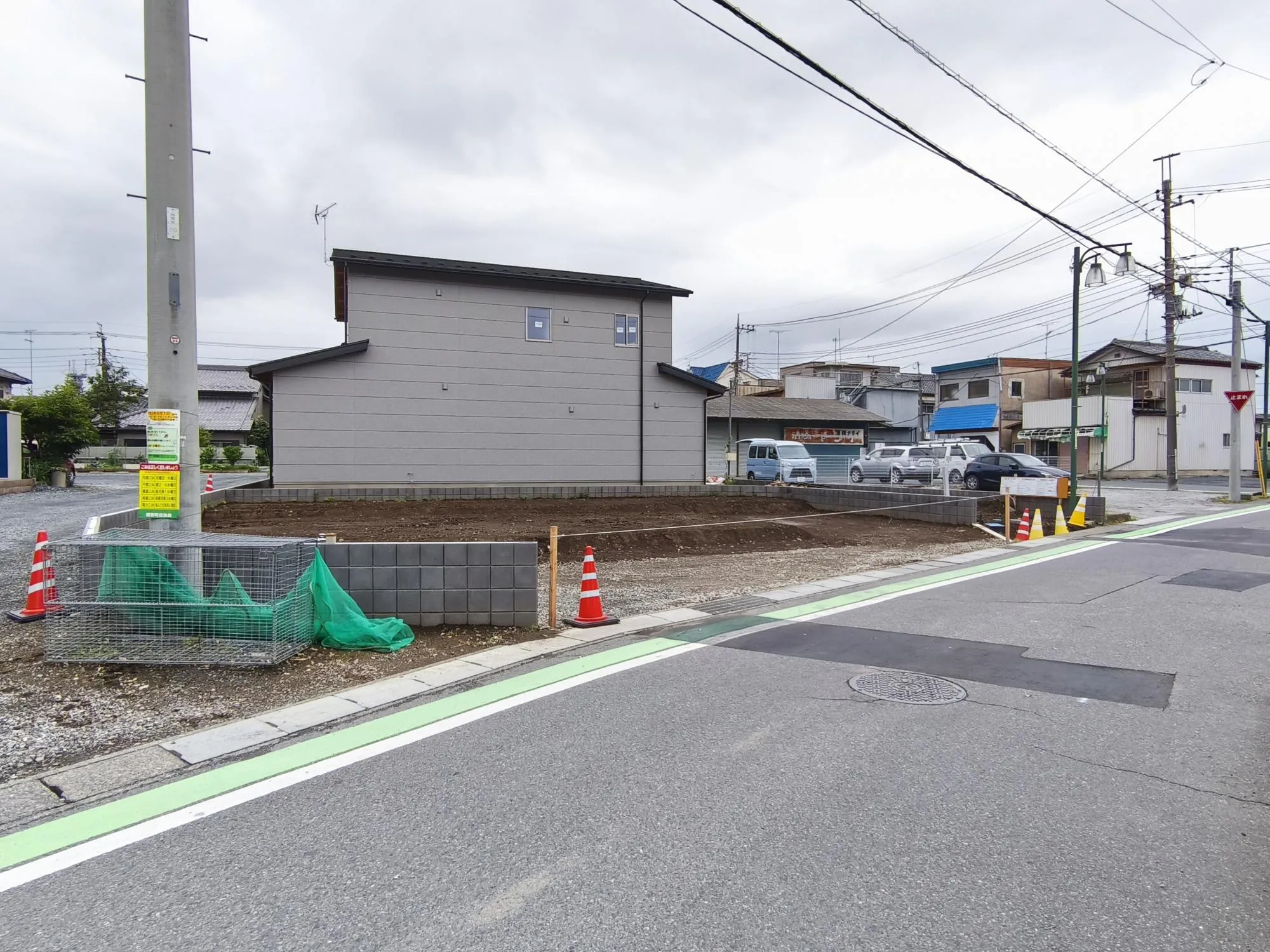 現地写真 6月撮影