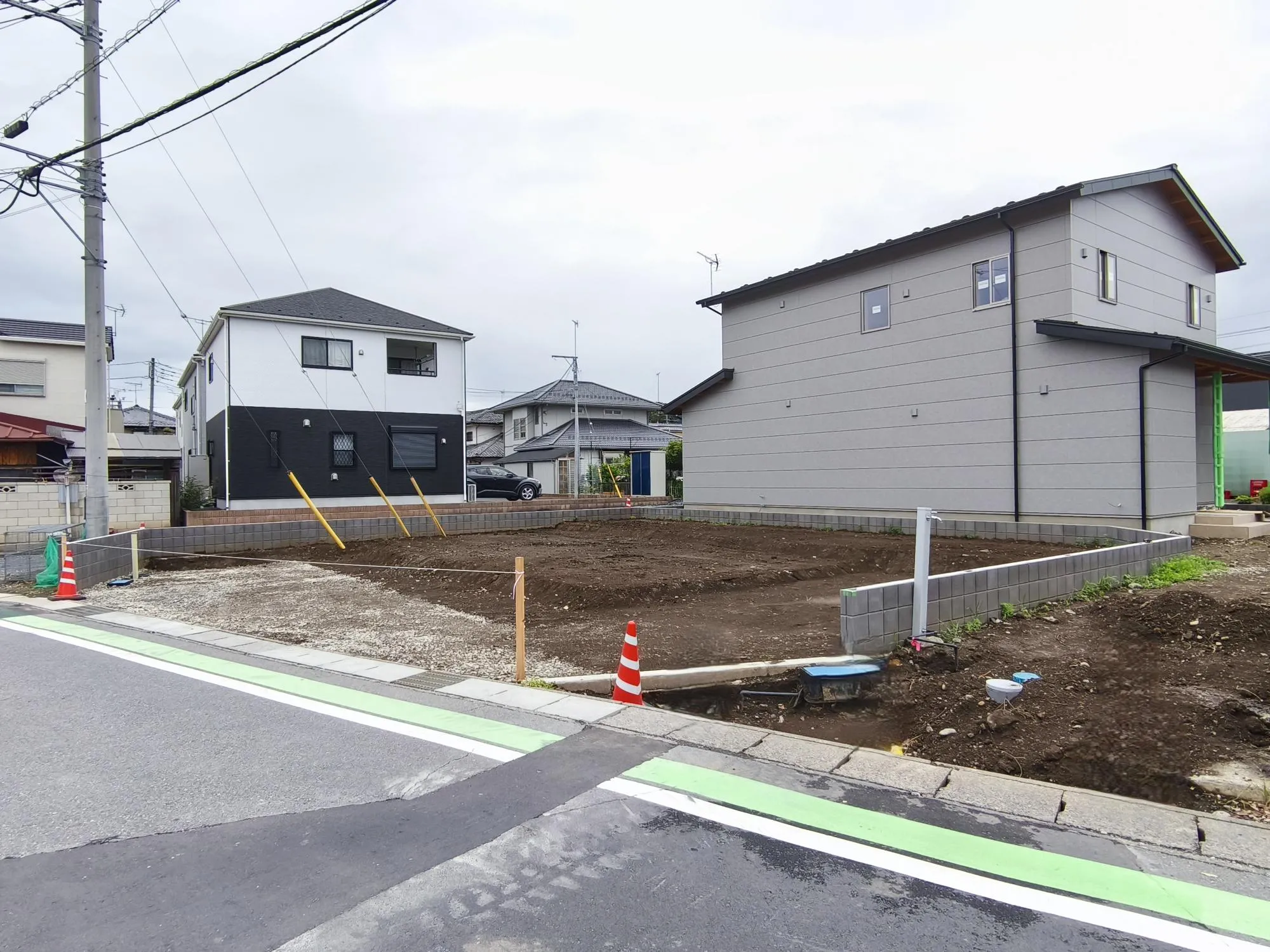 現地写真 6月撮影