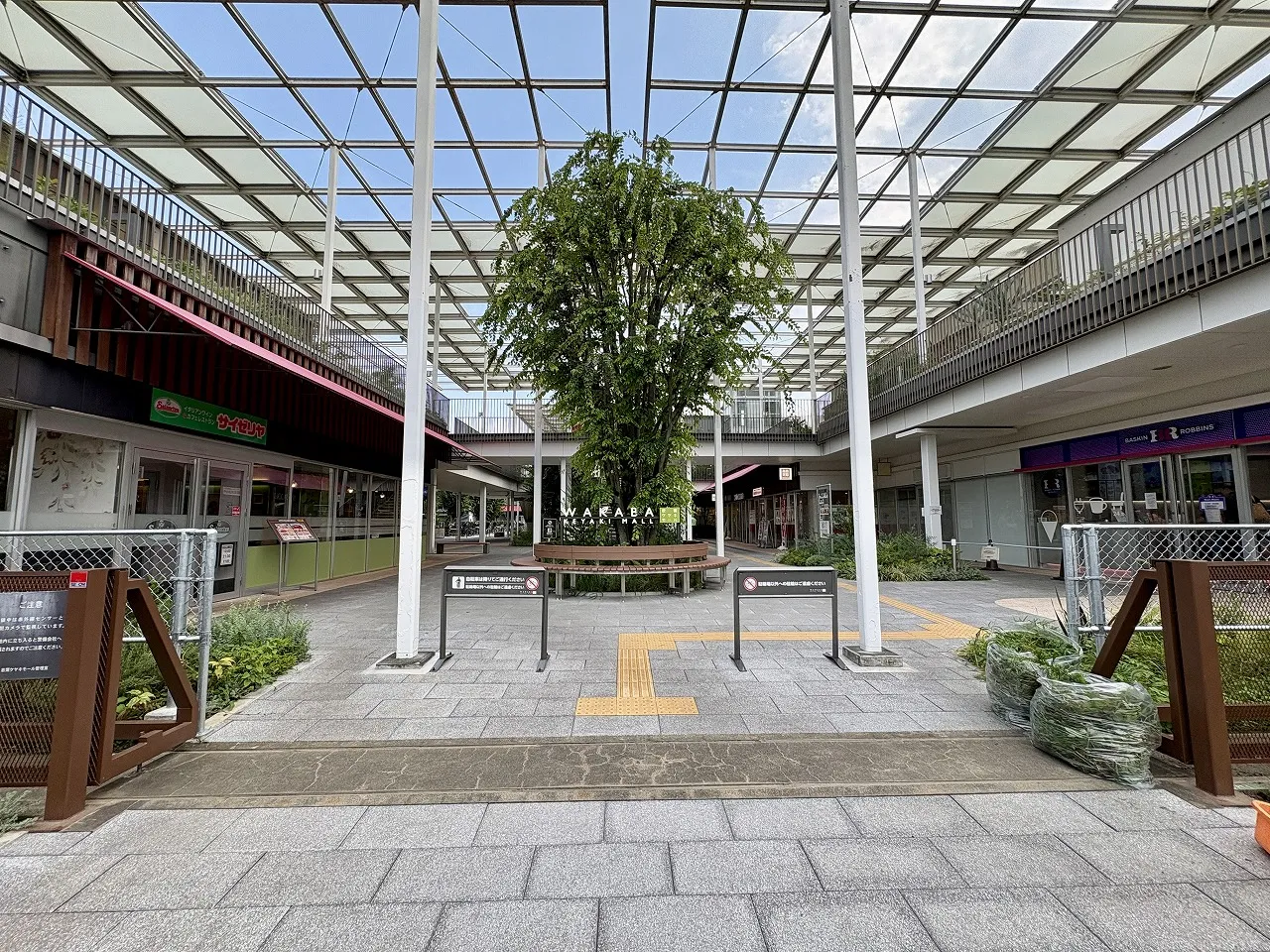 若葉ケヤキモール