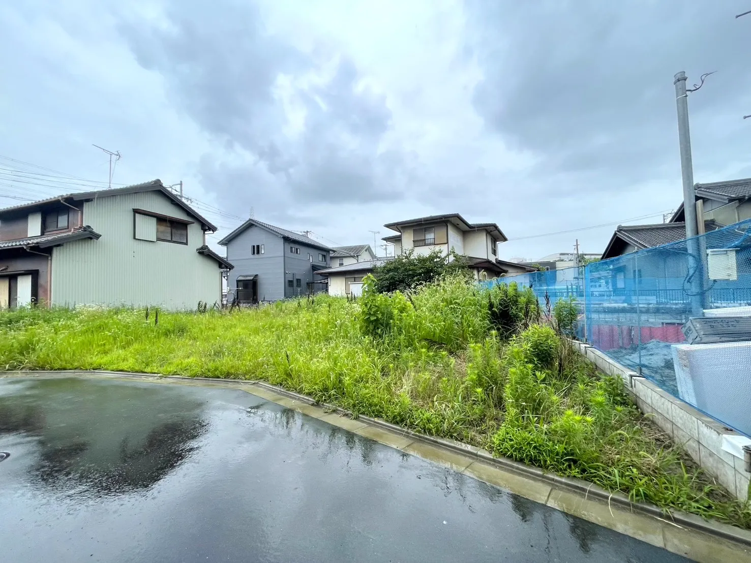 販売現地