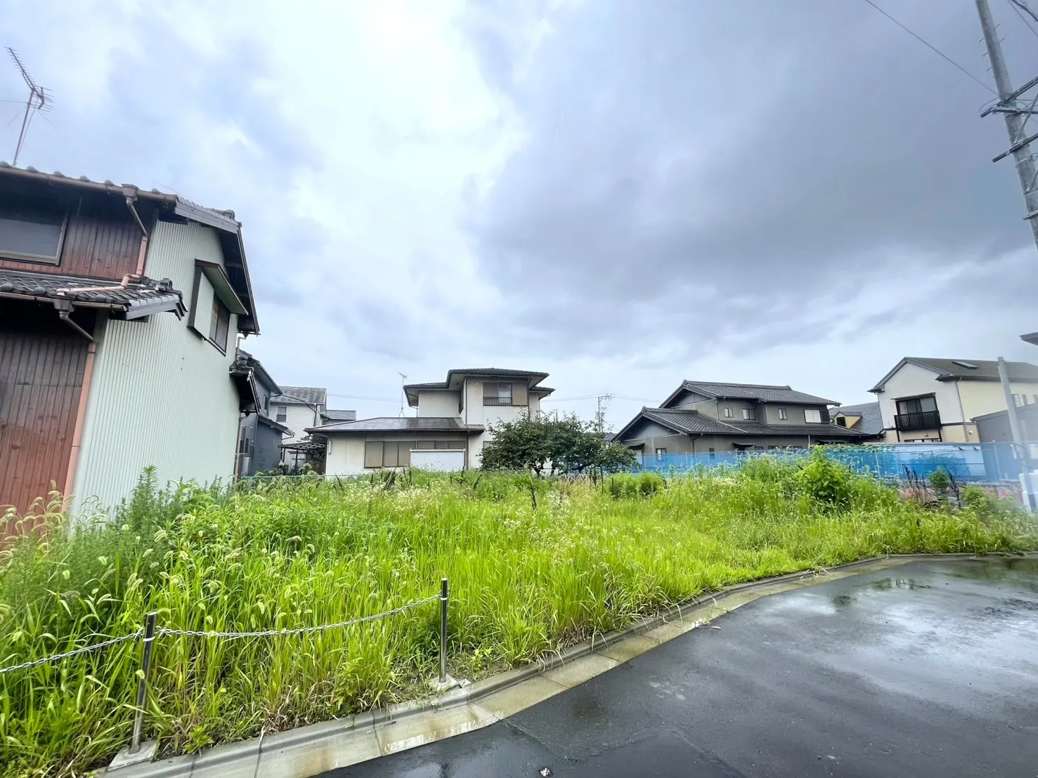 販売現地