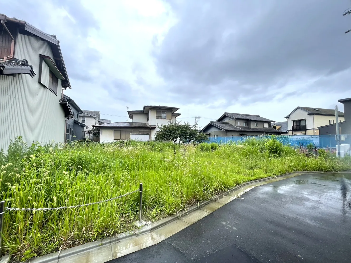 販売現地