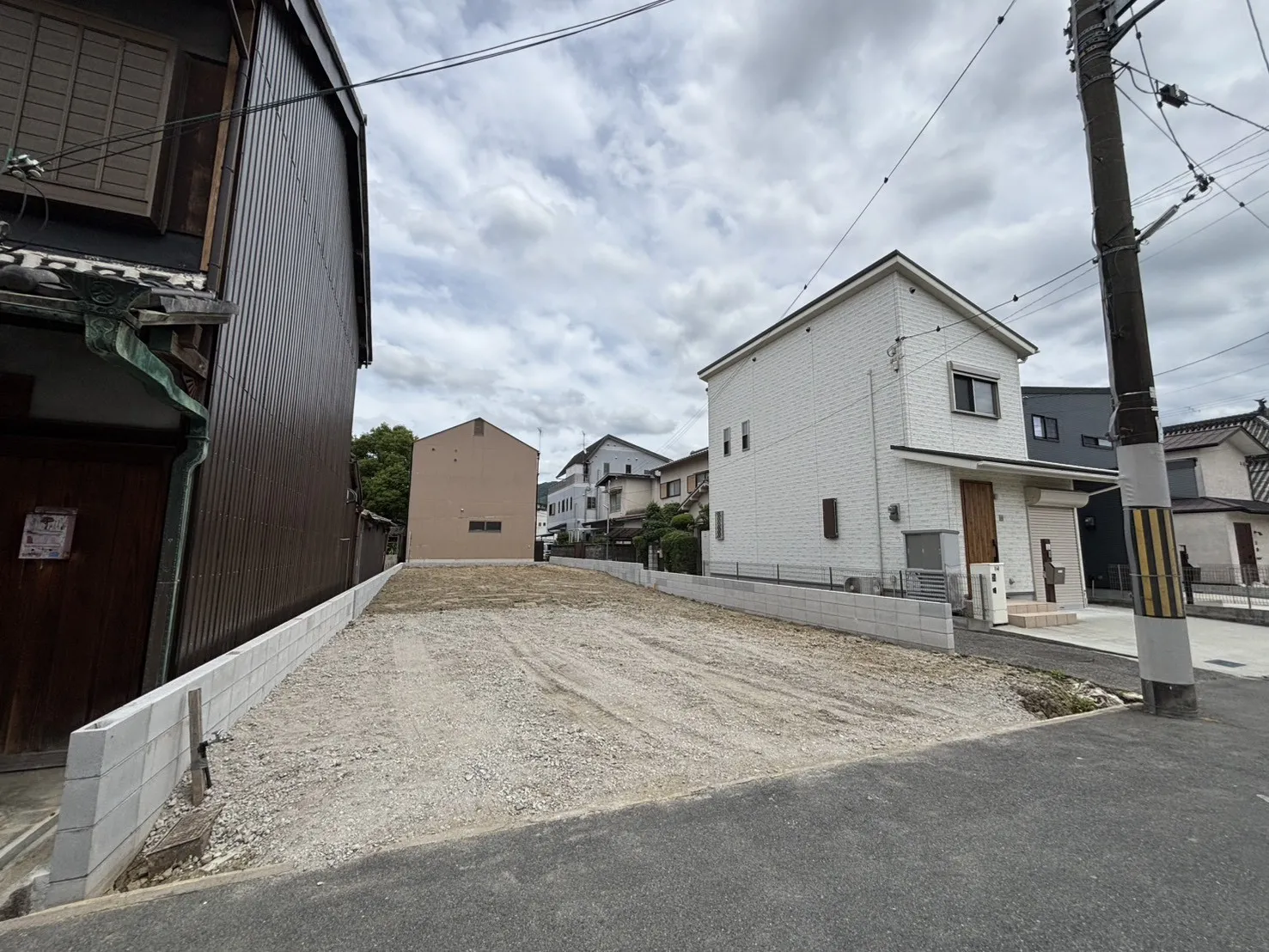 2026年6月下旬現地撮影