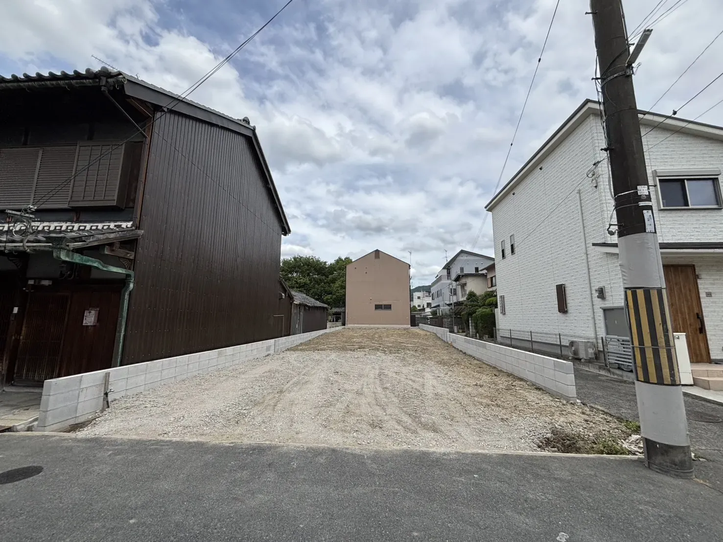 2026年6月下旬現地撮影