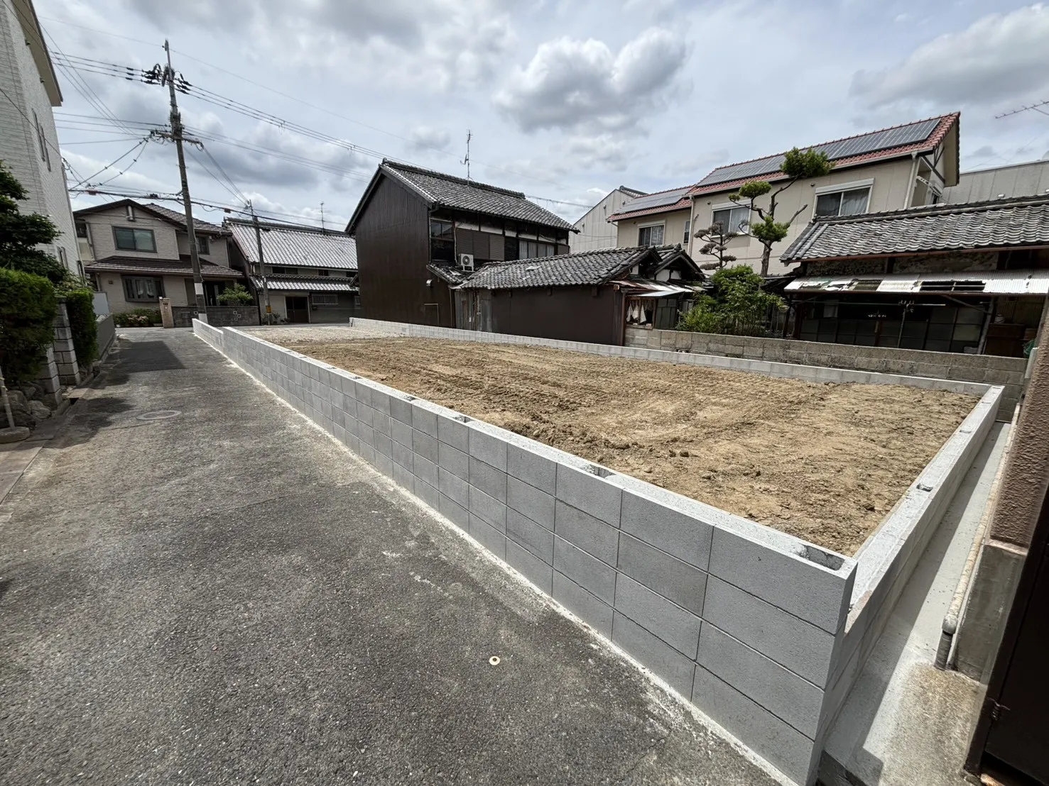 2026年6月下旬現地撮影