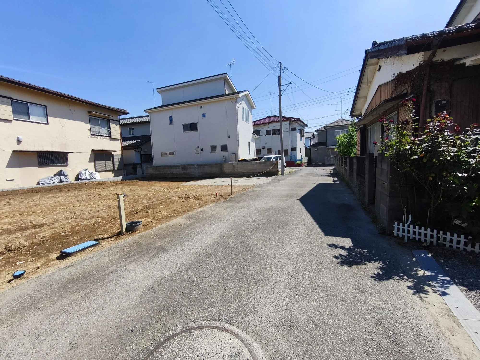 現地写真 7月撮影