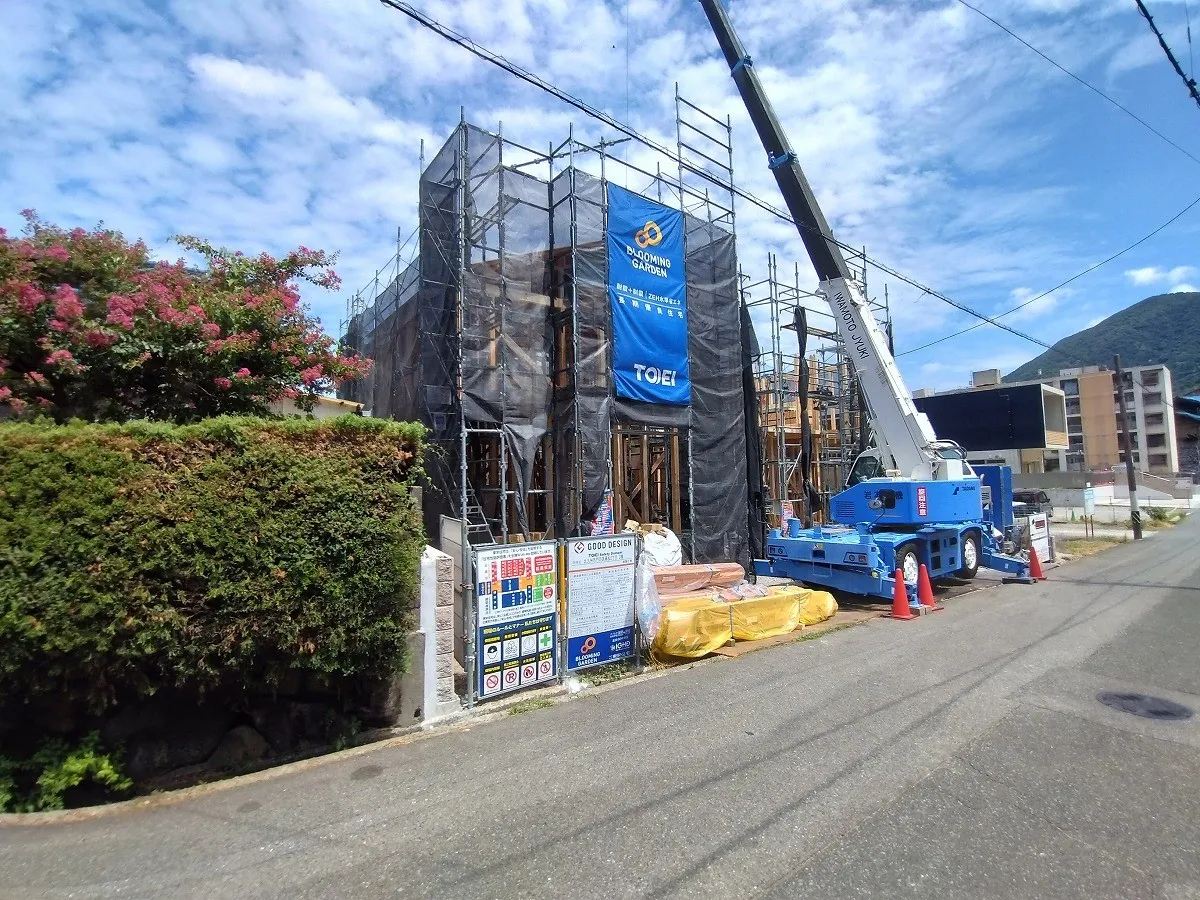 8月20日撮影