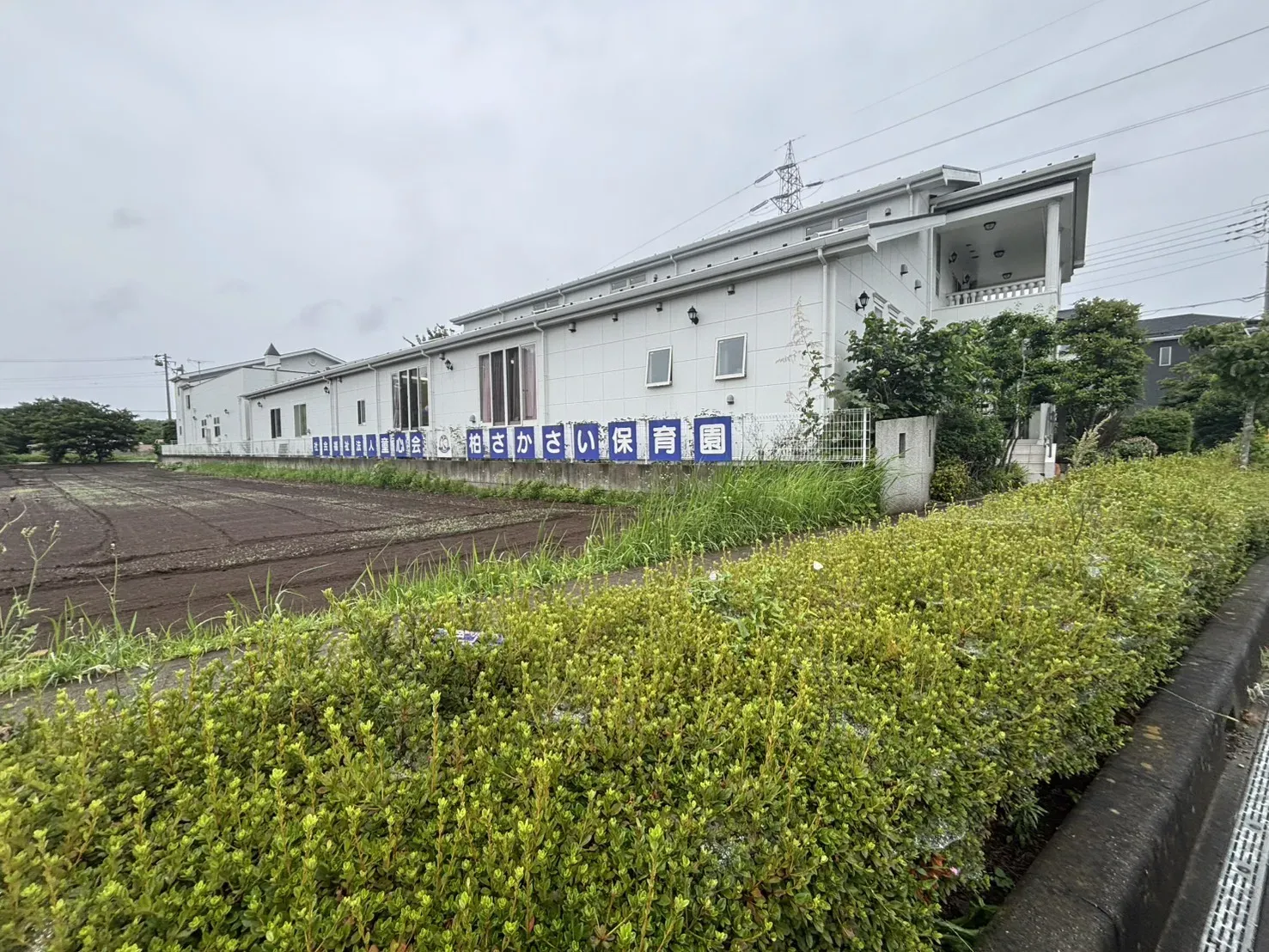柏さかさい保育園