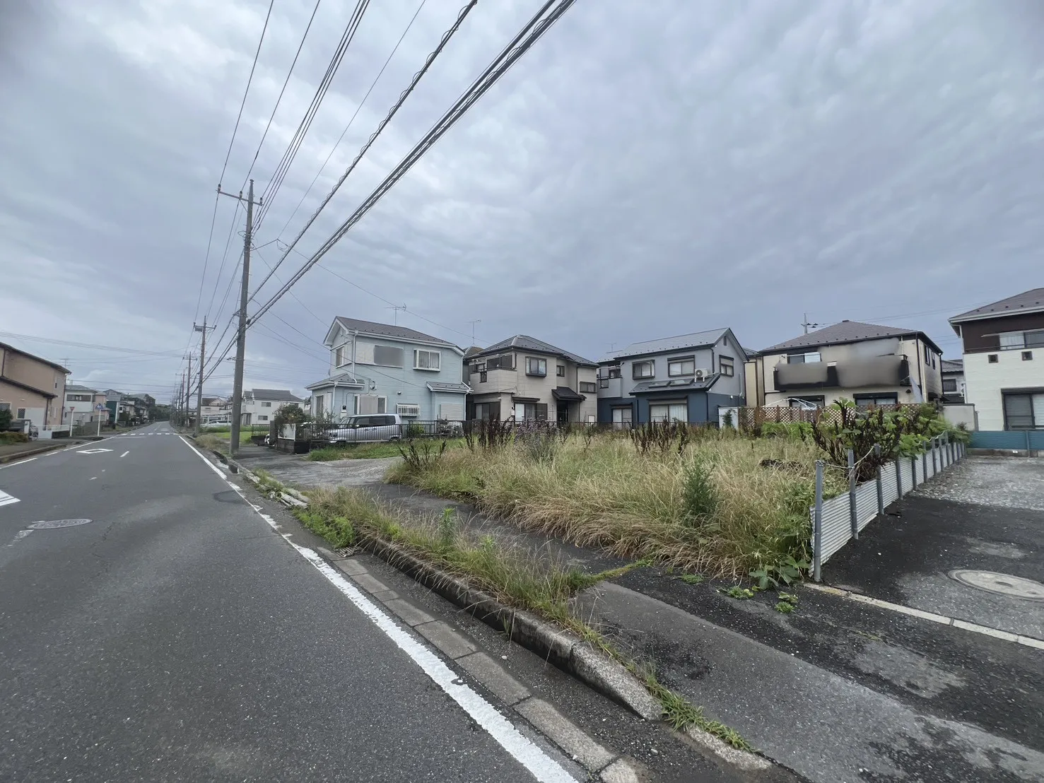 現地写真