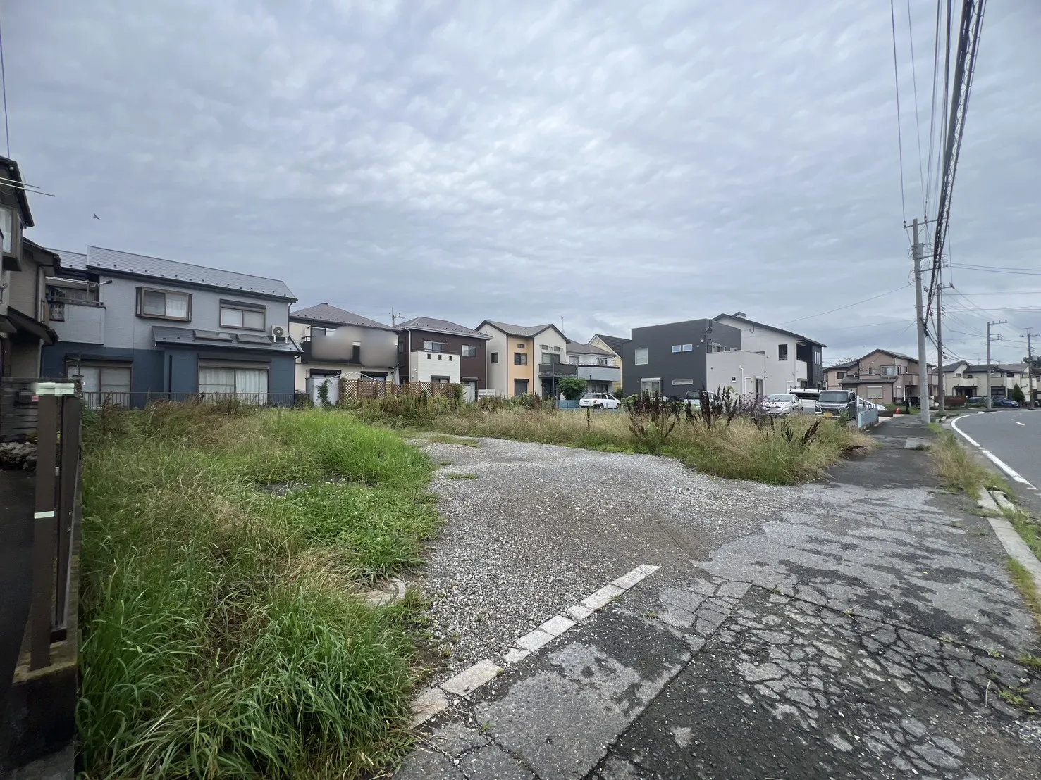 現地写真