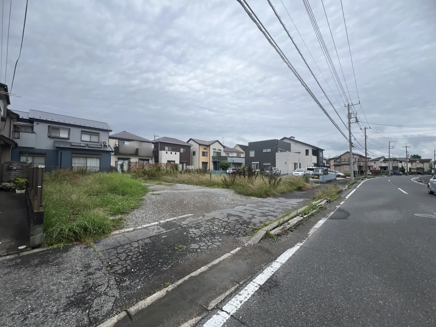 現地写真
