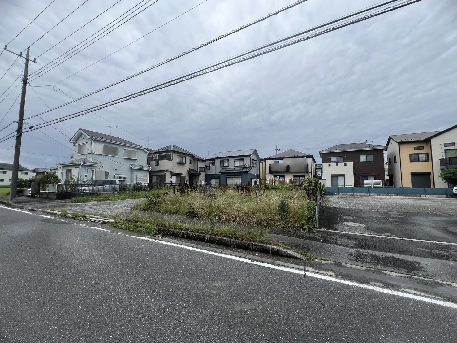 現地写真
