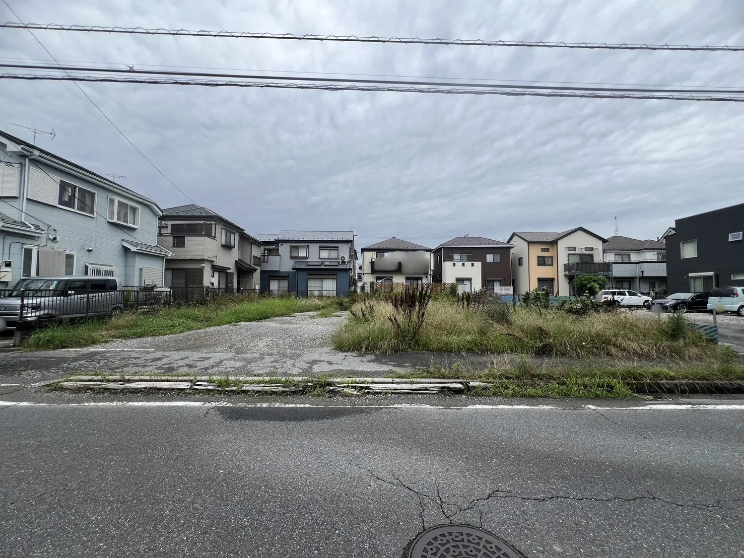 現地写真