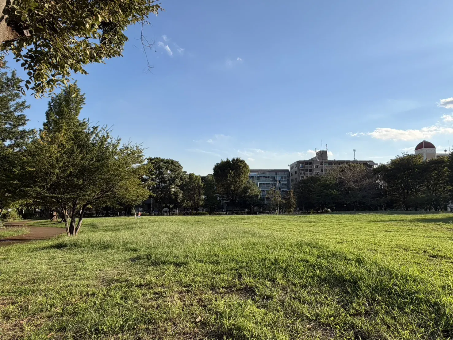 練馬区立中村かしわ公園