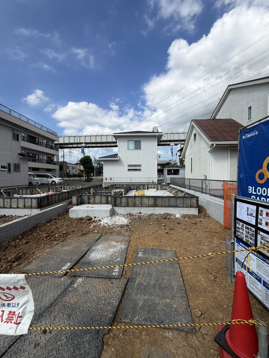 7月中旬撮影