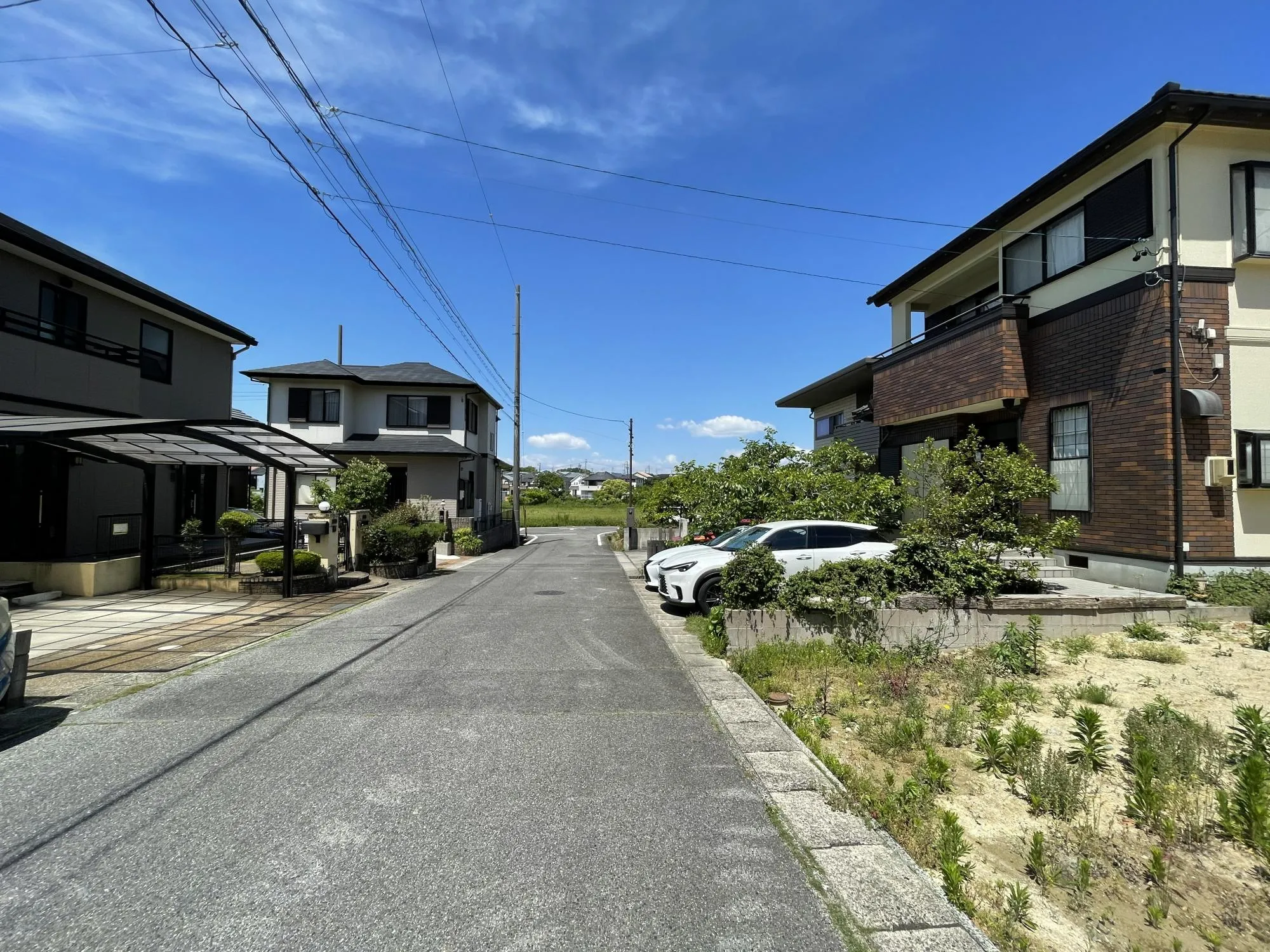 更地