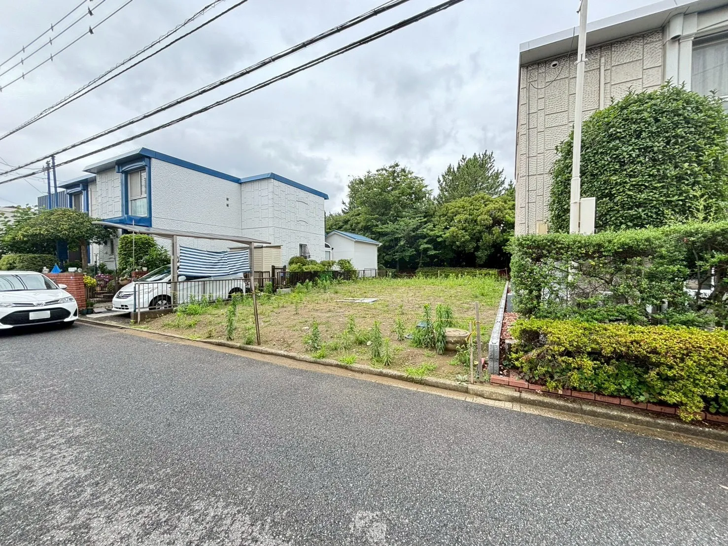 現地写真(撮影:6/28)