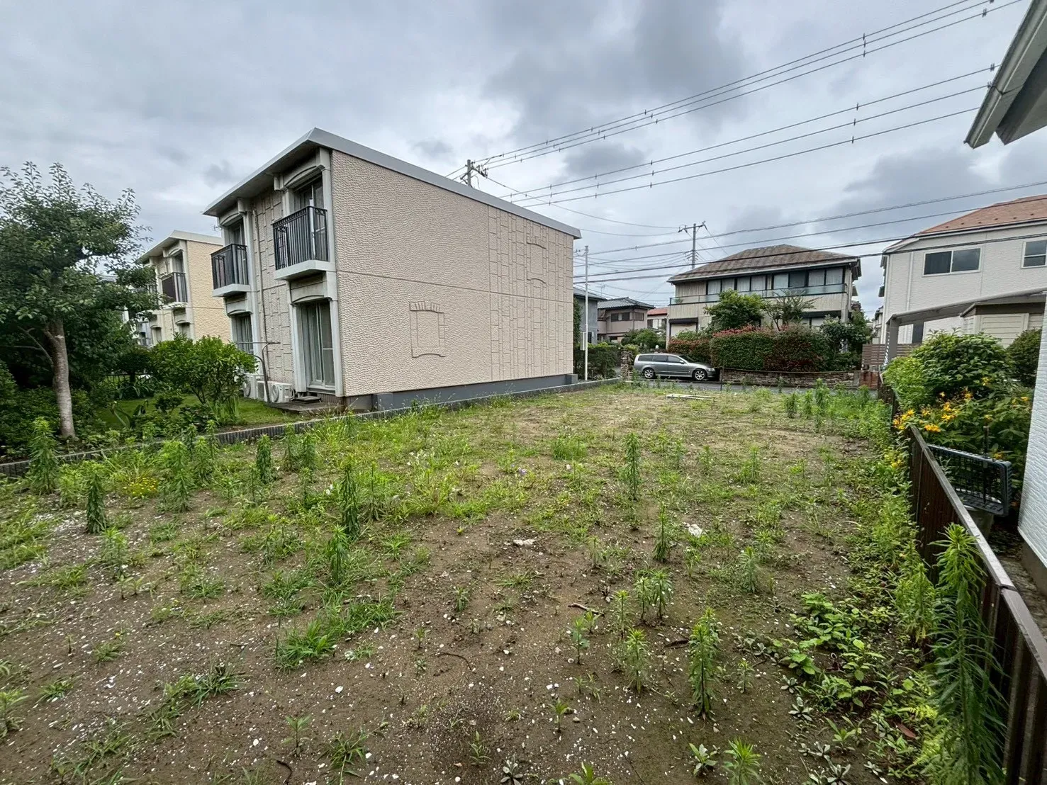 現地写真(撮影:6/28)