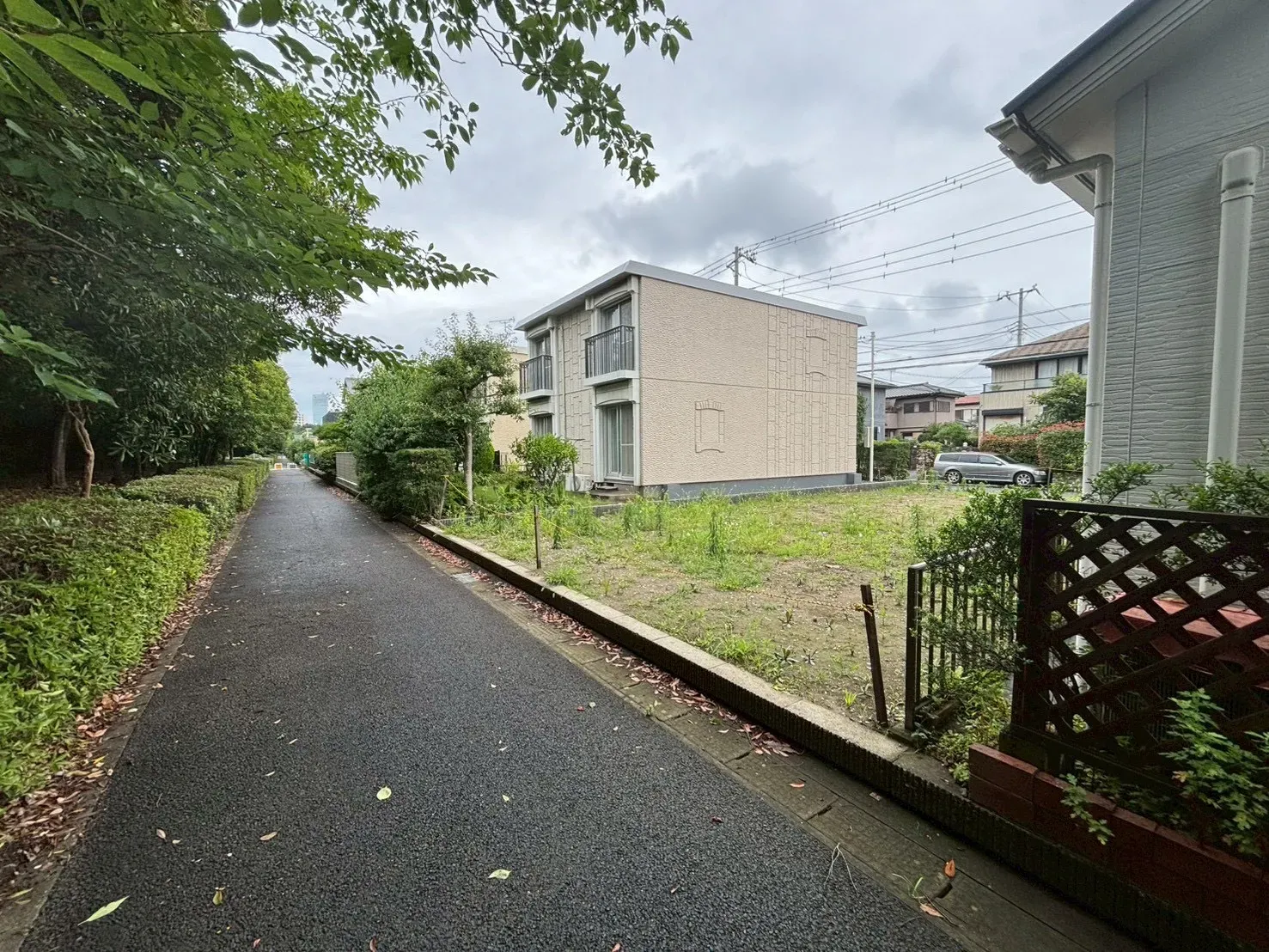 現地写真(撮影:6/28)