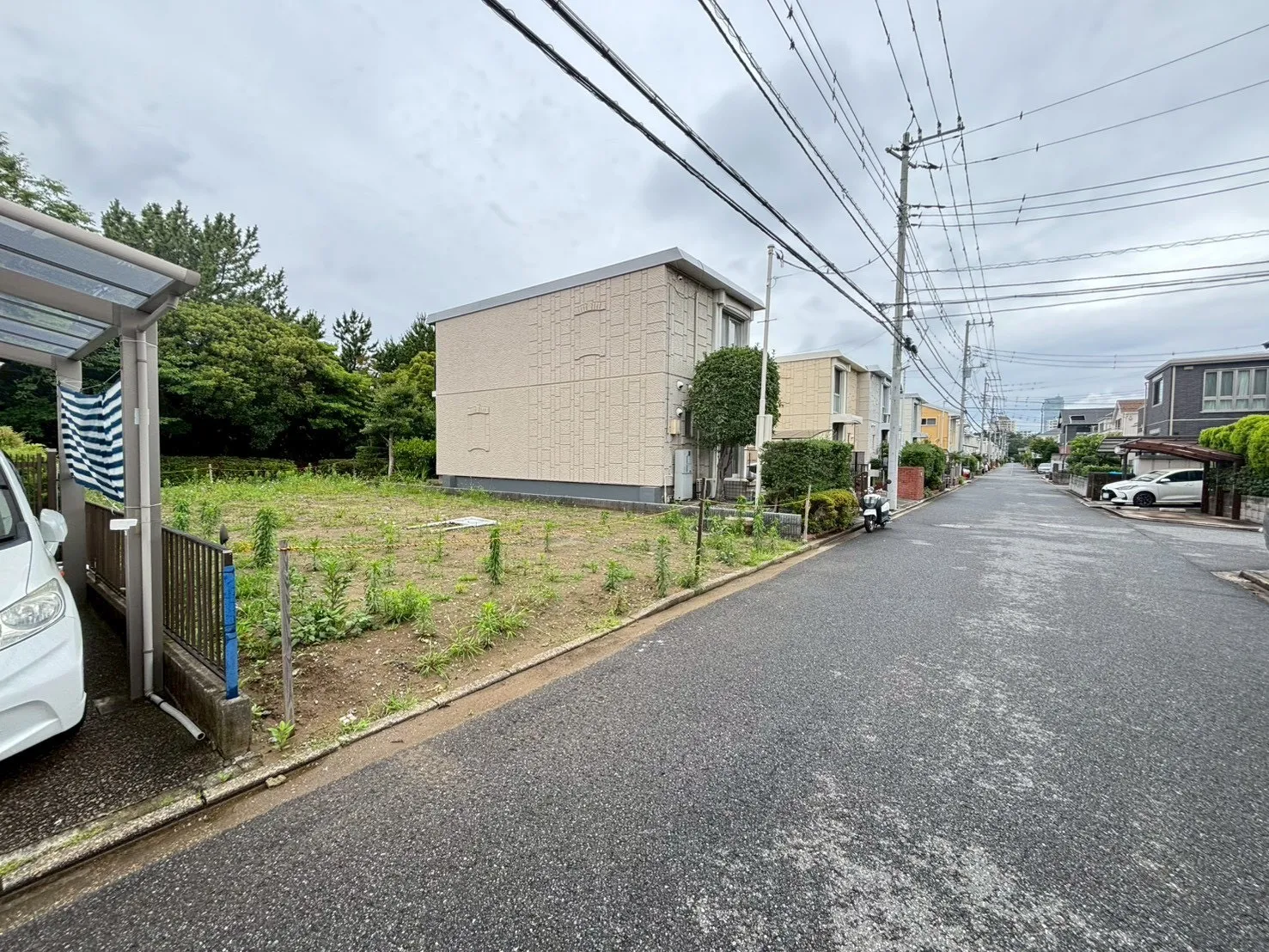 現地写真(撮影:6/28)