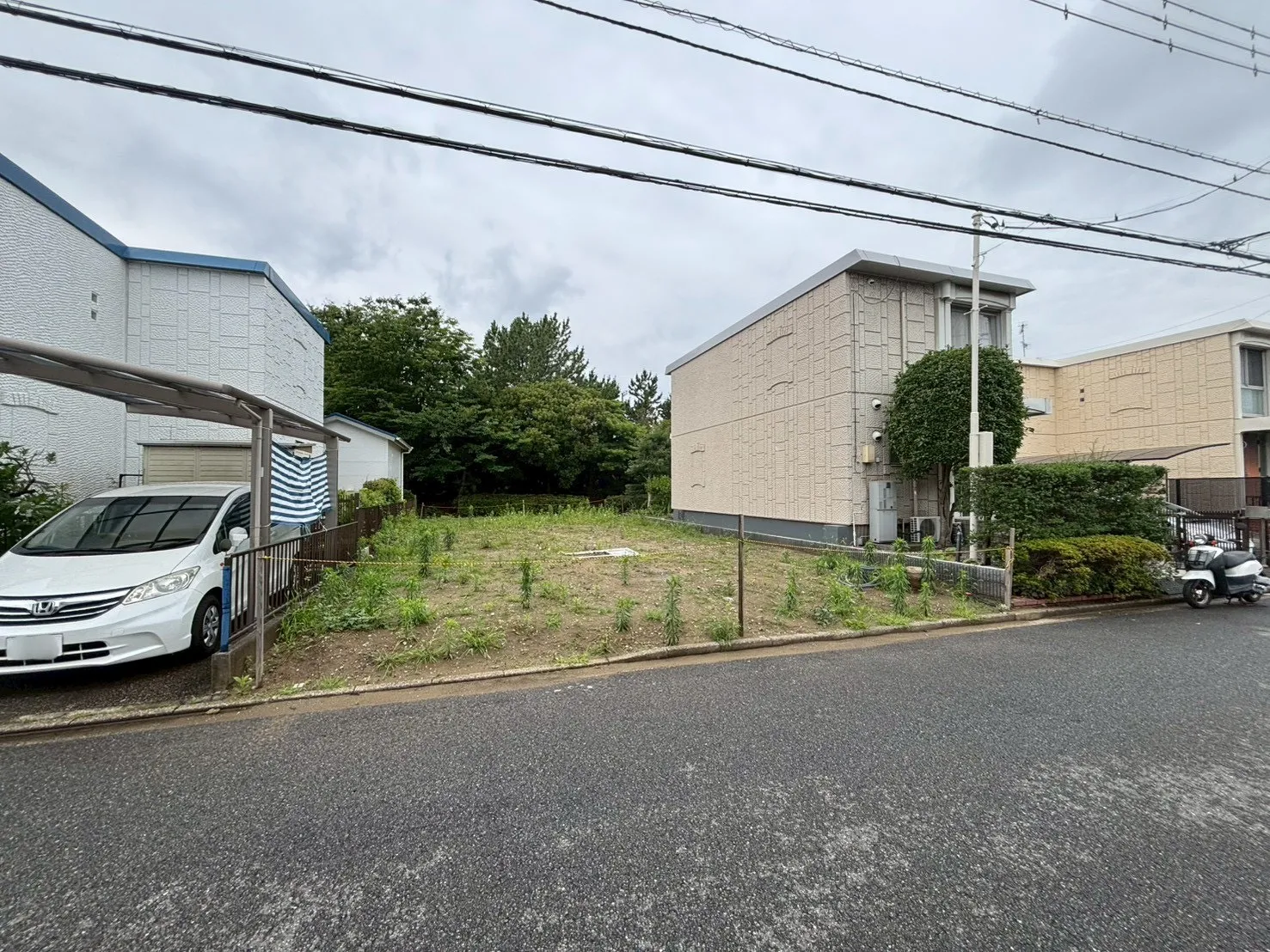 現地写真(撮影:6/28)