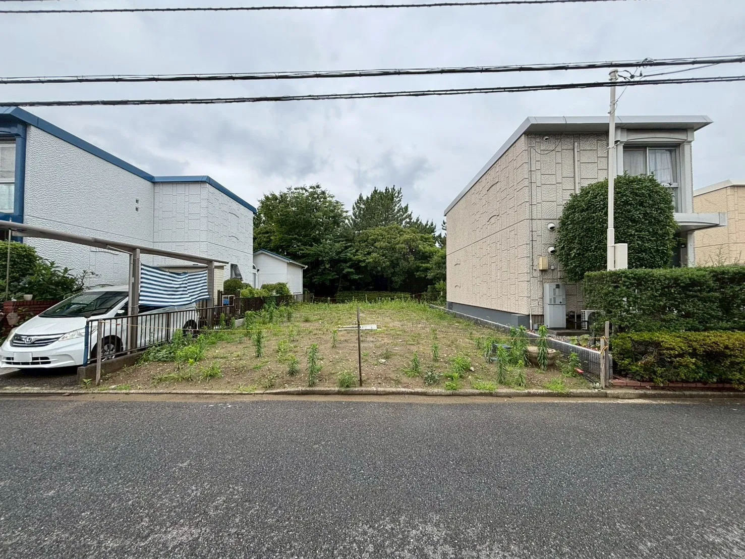 現地写真(撮影:6/28)