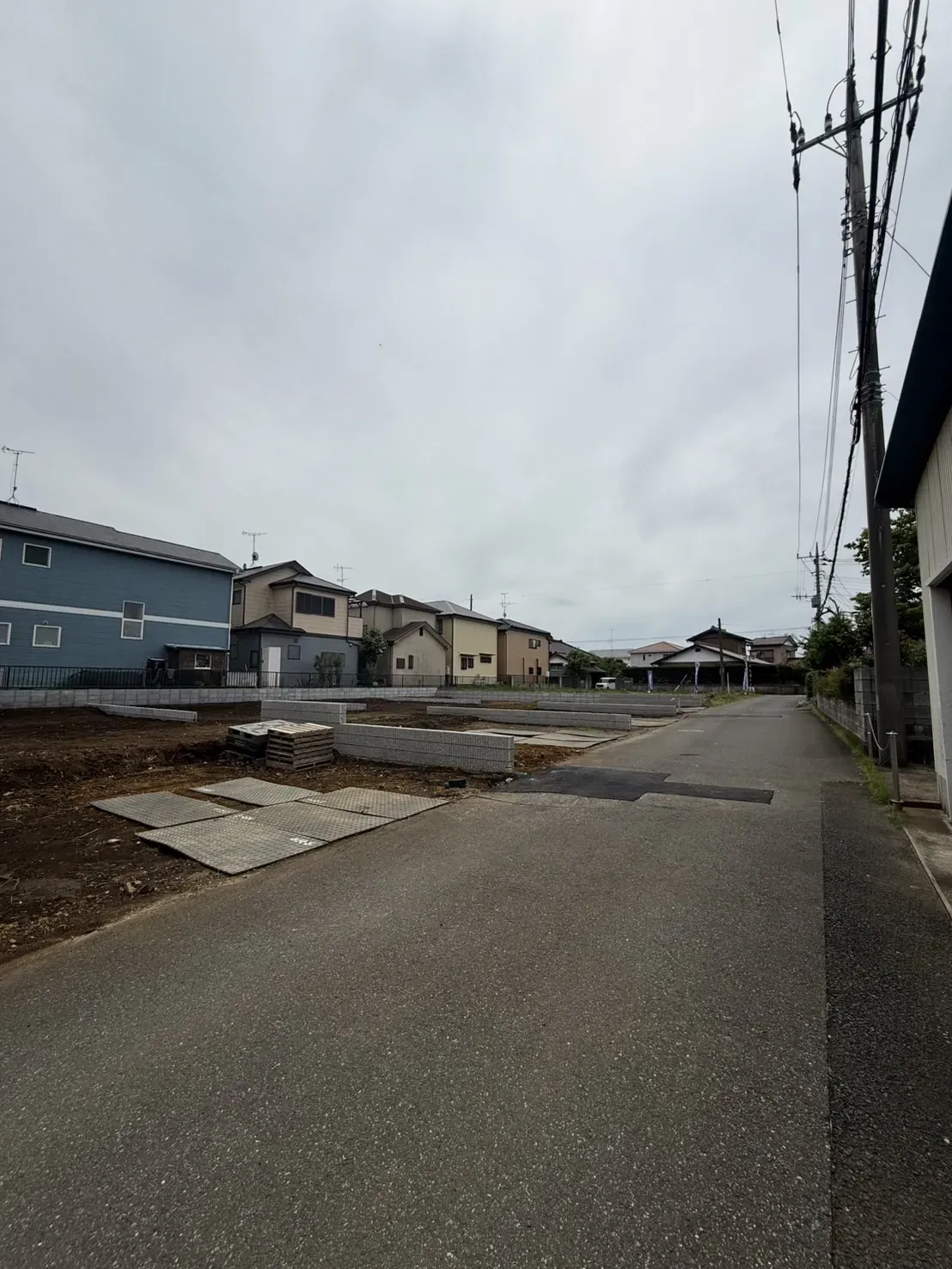 5月下旬撮影