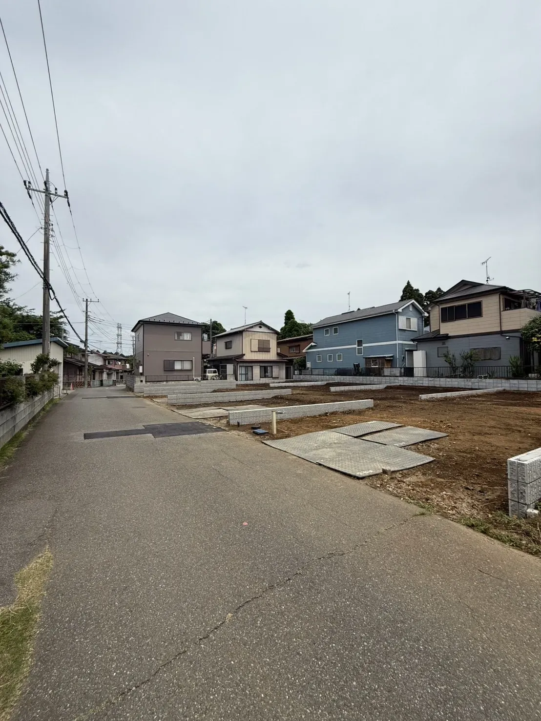5月下旬撮影