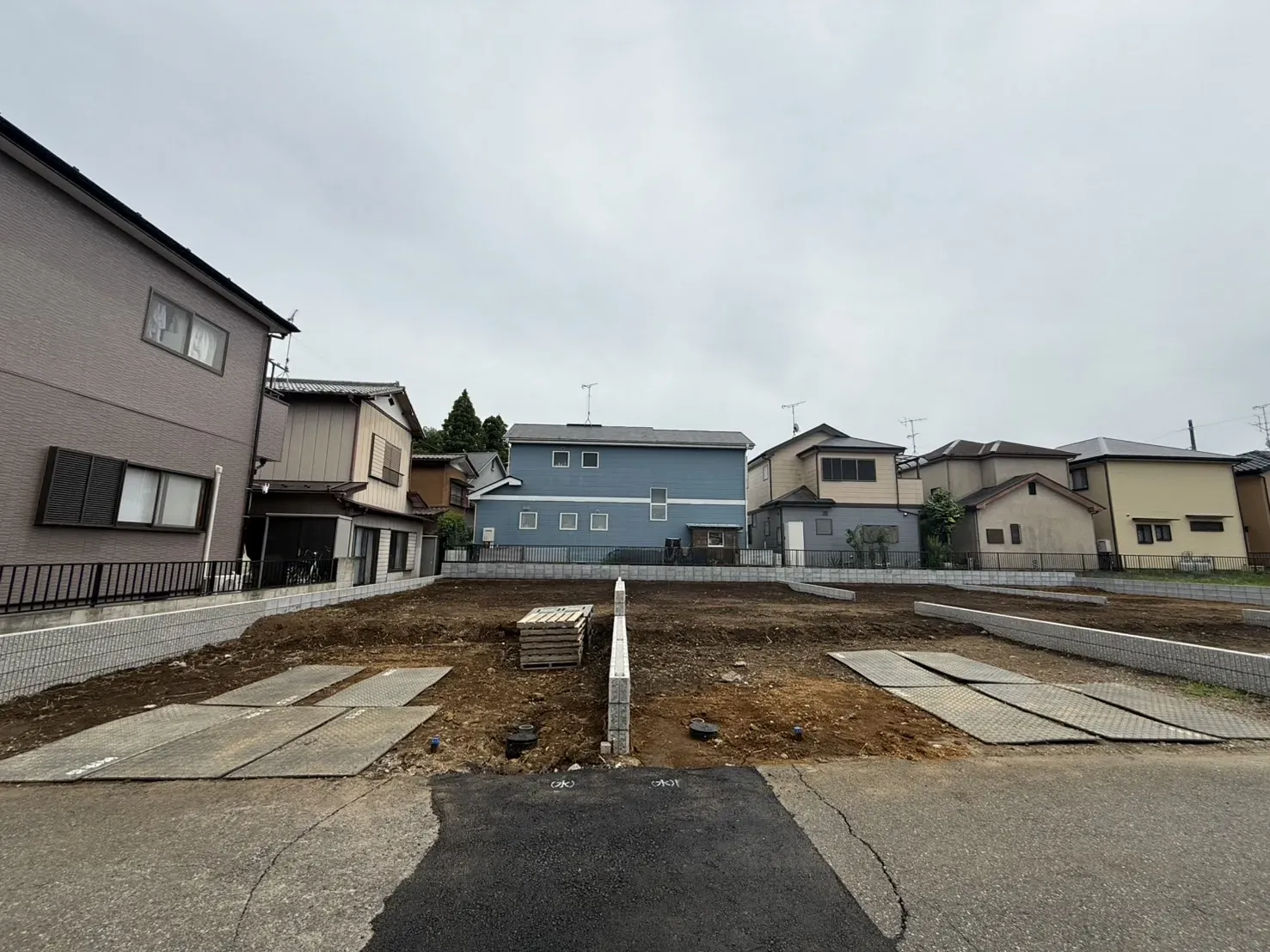 5月下旬撮影