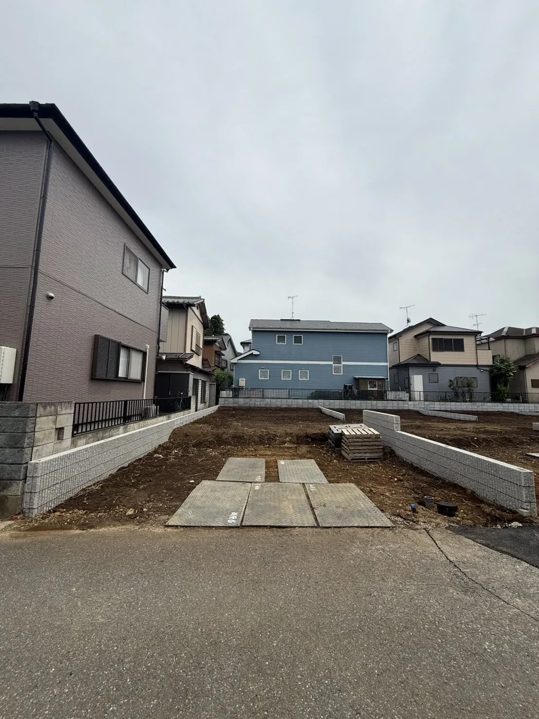 5月下旬撮影