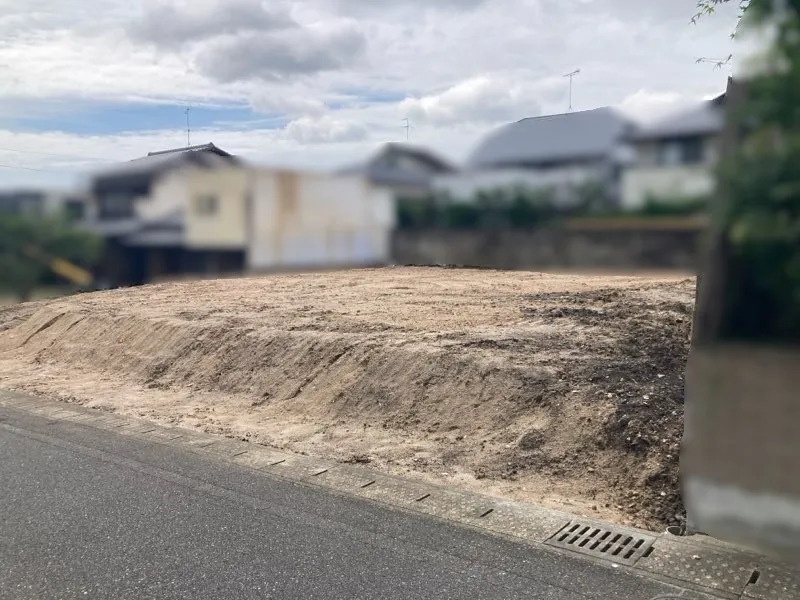 現地写真